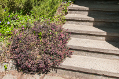 ház kivülről 7.kép.